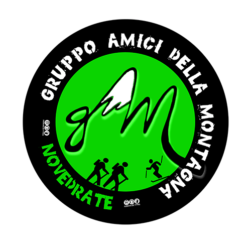 GAM Logo